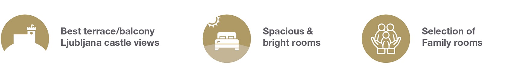 Icons showing top hotel features: terrace with castle view, bright rooms, and family options