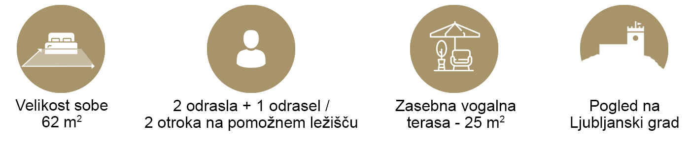 Ikone za sobo 62 m&sup2;, 2 odrasla + 1 odrasel ali 2 otroka, terasa 25 m&sup2;, pogled na Ljubljanski grad.